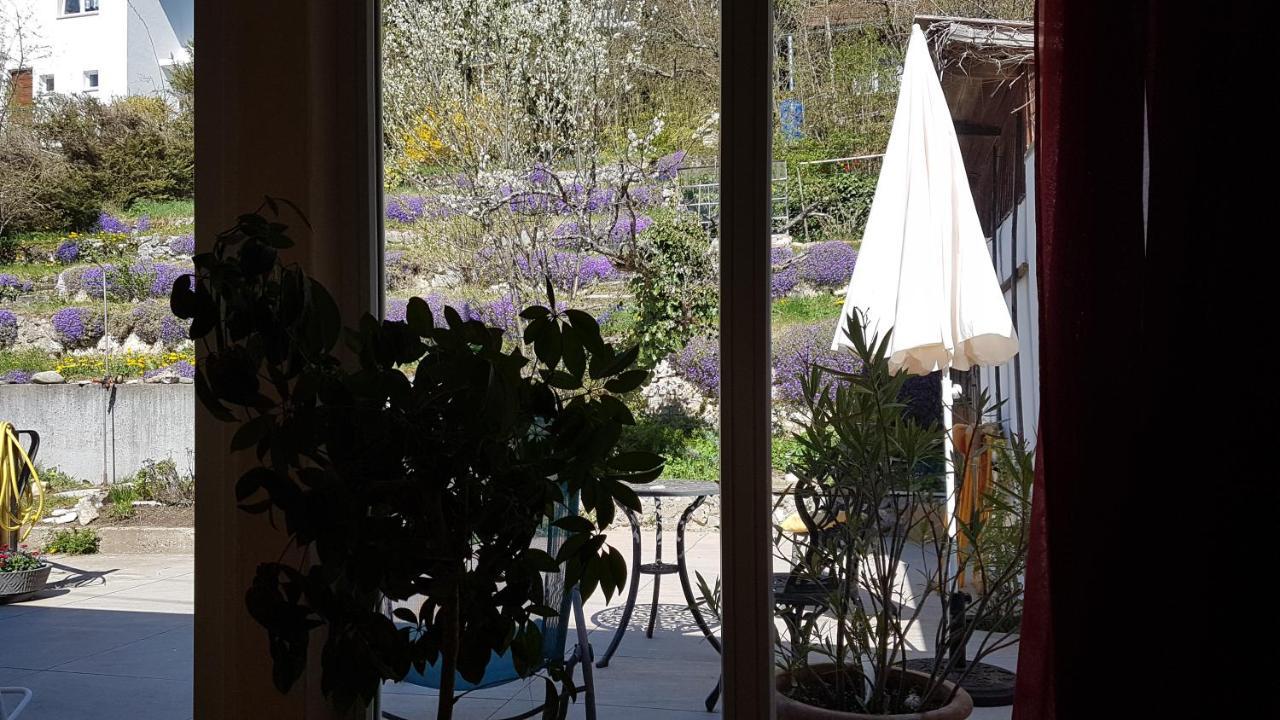 Haus Wunderlich Sigmaringen Exterior foto